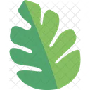 Tropical Palm Leaf Leaf Nature Icon