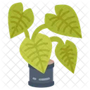 Tropical Plant Ferns Aroids Icon