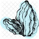 Cactuscolor Icon
