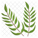 Tropische Palme  Symbol