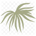 Tropisches Blatt  Symbol