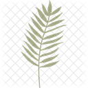 Tropisches Blatt  Symbol