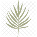 Tropisches Blatt  Symbol