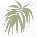 Tropisches Blatt  Symbol