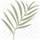 Tropisches Blatt  Symbol