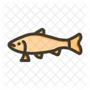 Fishing Cephalopod Surmullet Icon