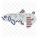 Trout Fishing Ocean Icon