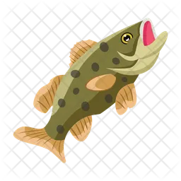 Trout  Icon