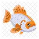 Fishing Vector Fish Icons Sea Creature Icon