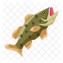 Vector De Pesca Iconos De Peces Criatura Marina Icono