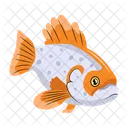 Vector De Pesca Iconos De Peces Criatura Marina Icono