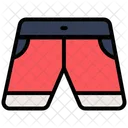 Trunks Shorts Swimming Icon