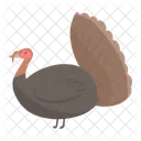 Truthahn Huhn Vogel Icon