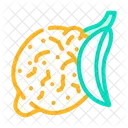 Tsitron Maxima Lemon Tsitron Maxima Icon