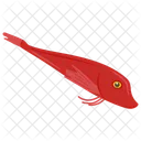 Tub Gurnard Snapfish Fish Icon