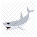 Carcharodon Carcharias Tubarao Branco Peixe Tubarao Icon