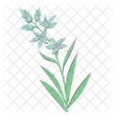 Tuberose Hortensie Aromatisch Symbol