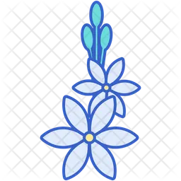 Tuberose  Icon