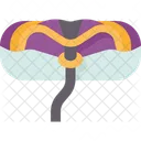 Tubo Inflable Flotador Icon