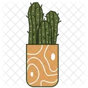 Tubo De Organo De Cactus Icono
