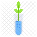 Tubo De Planta Tubo De Cultivo Prueba De Planta Icono