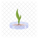 Verde Planta Genetica Icono