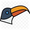 Tucan Pelicano Pajaro Icono