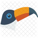 Tucan Pelicano Pajaro Icono