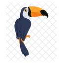 Tucan Pajaro Animal Icono