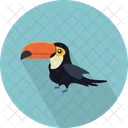 Tukan Vogel Chordata Symbol