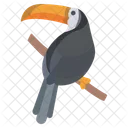 Tukan Zoologie Vogel Symbol