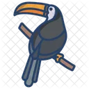 Tukan Zoologie Vogel Symbol