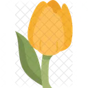 Tulip Flower Spring Icon