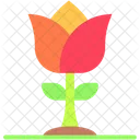 Tulip  Icon