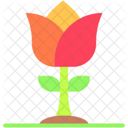 Tulip  Icon