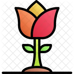 Tulip  Icon