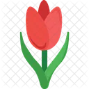 Flower Tulip Blossom Icon