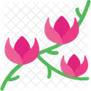 Tulip Flower Rose Icon