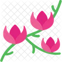 Tulip  Icon