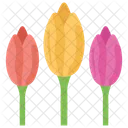 Tulips Flower Nature Icon