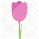 Tulip Flower Ecology Icon