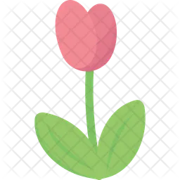 Tulip  Icon