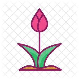 Tulip  Icon