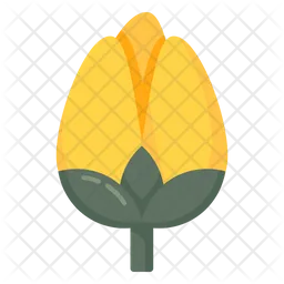 Tulip  Icon