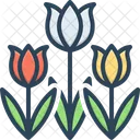 Tulip Spring Blooming Bunch Icon