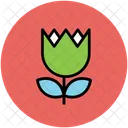 Tulip Flower Creative Icon