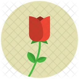 Tulip  Icon