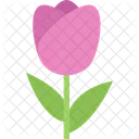 Tulip Flower Nature Icon