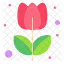 Tulip Flower Grow Icon