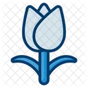 Tulip Flowers Floral Icon